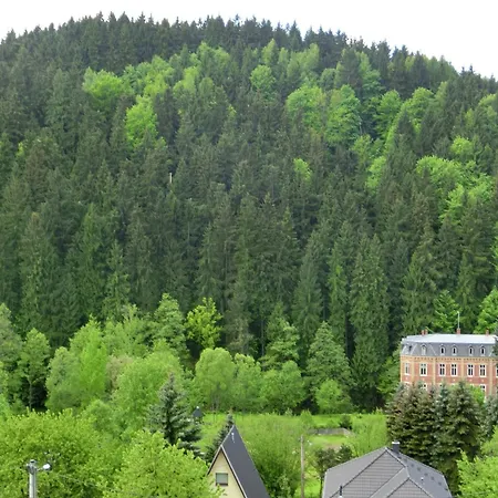 Alluring In Grunhainichen Borstendorf With Garden Villa *