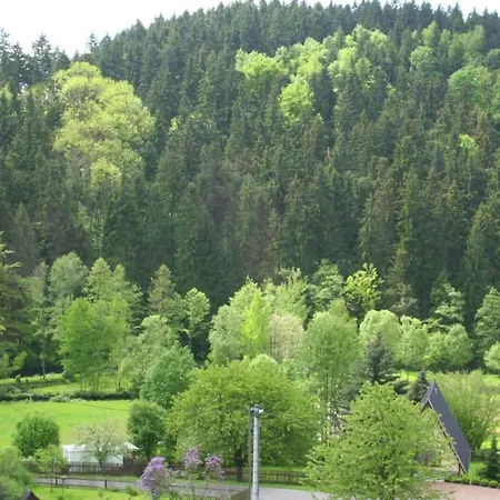 Alluring In Grunhainichen Borstendorf With Garden Villa Leubsdorf