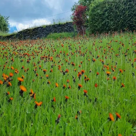 Villa Alluring In Grunhainichen Borstendorf With Garden