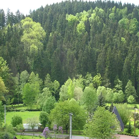 Alluring In Grunhainichen-borstendorf With Garden Villa *